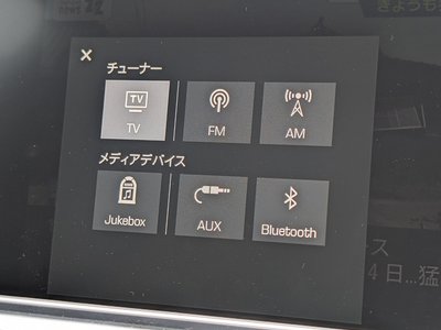 2017 Porsche PANAMERA 缩略图 27