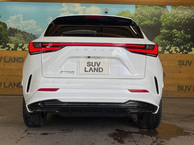 2023 Lexus NX — миниатюра 15