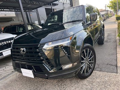 2025 Lexus GX 缩略图 12