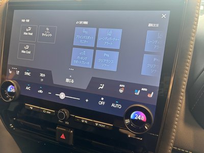 2024 Toyota ALPHARD 缩略图 15