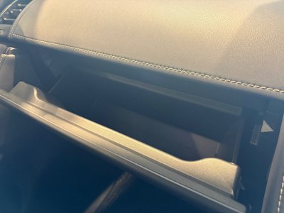 2024 Toyota ALPHARD 缩略图 30