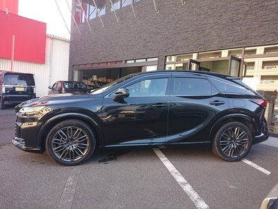 2023 Lexus RX 照片 3