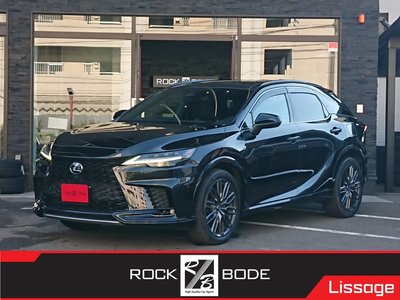 2023 Lexus RX 照片 1