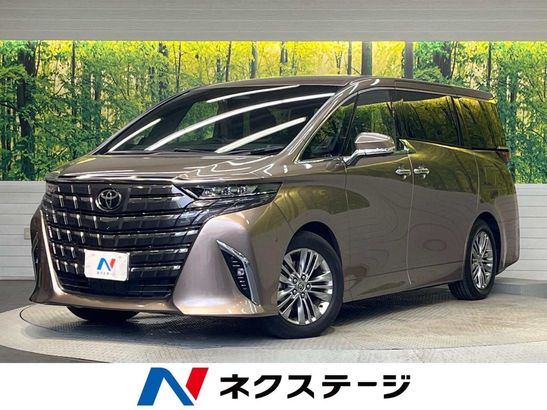 TOYOTA ALPHARD - View 1