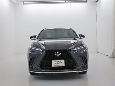 LEXUS NX - 4