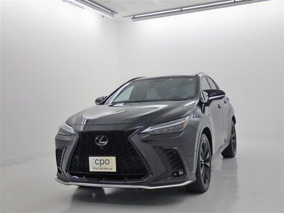 LEXUS NX - 1