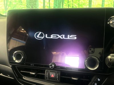 LEXUS NX - 4