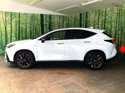 صورة مصغرة 29 لـ 2022 Lexus NX