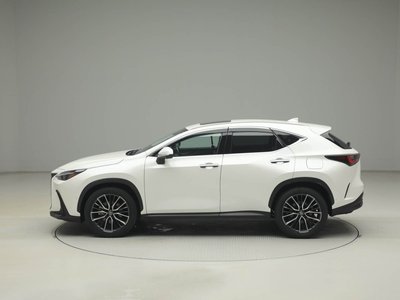 LEXUS NX - 6