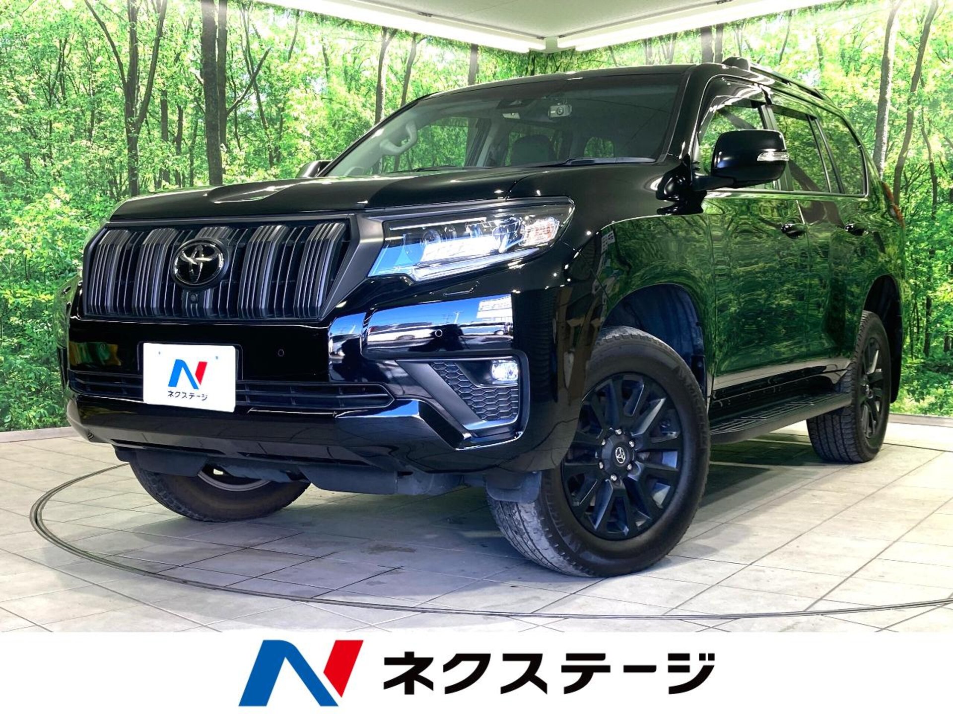 TOYOTA LAND CRUISER PRADO - View 1