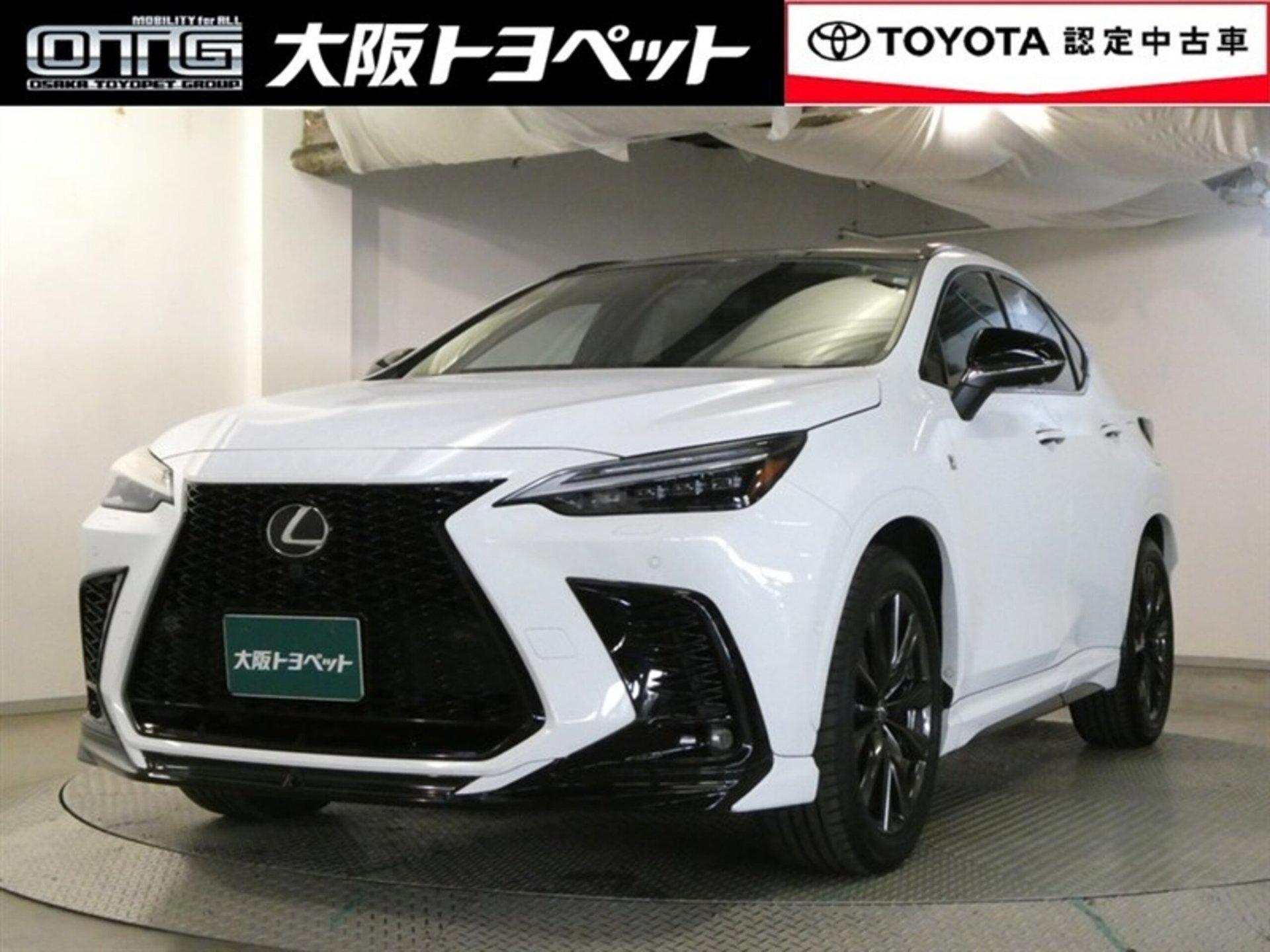 LEXUS NX - View 1