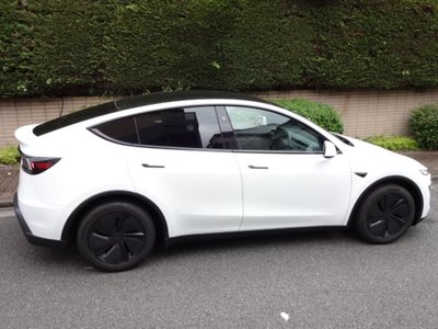 2026 Tesla MODEL Y 缩略图 19