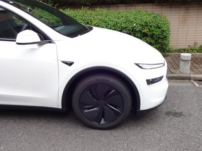 2026 Tesla MODEL Y 缩略图 21