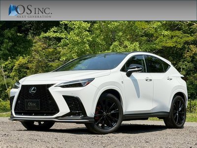 LEXUS NX - 1