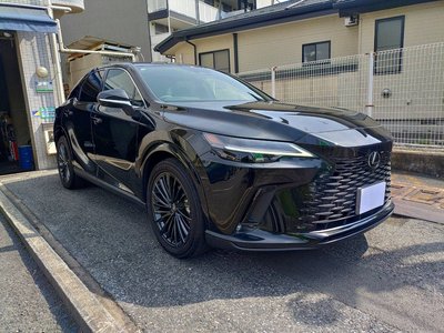 2023 Lexus RX 照片 1