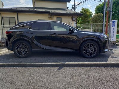 2023 Lexus RX 照片 5
