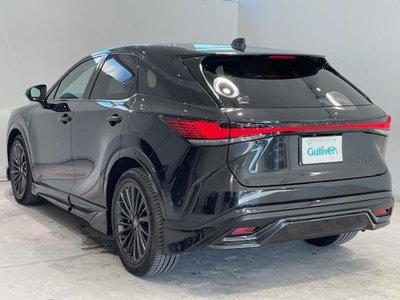 LEXUS RX 2023 thumbnail 21