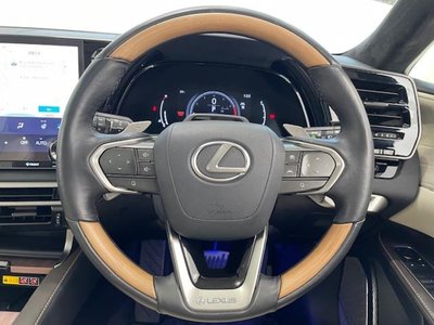 LEXUS RX 2023 thumbnail 23