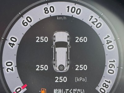 TOYOTA LAND CRUISER 300 - 8