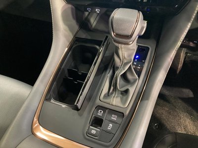 2025 Toyota ALPHARD 缩略图 47