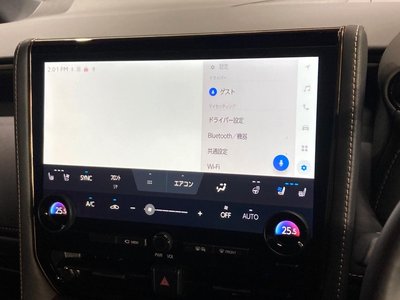 2025 Toyota ALPHARD 缩略图 54