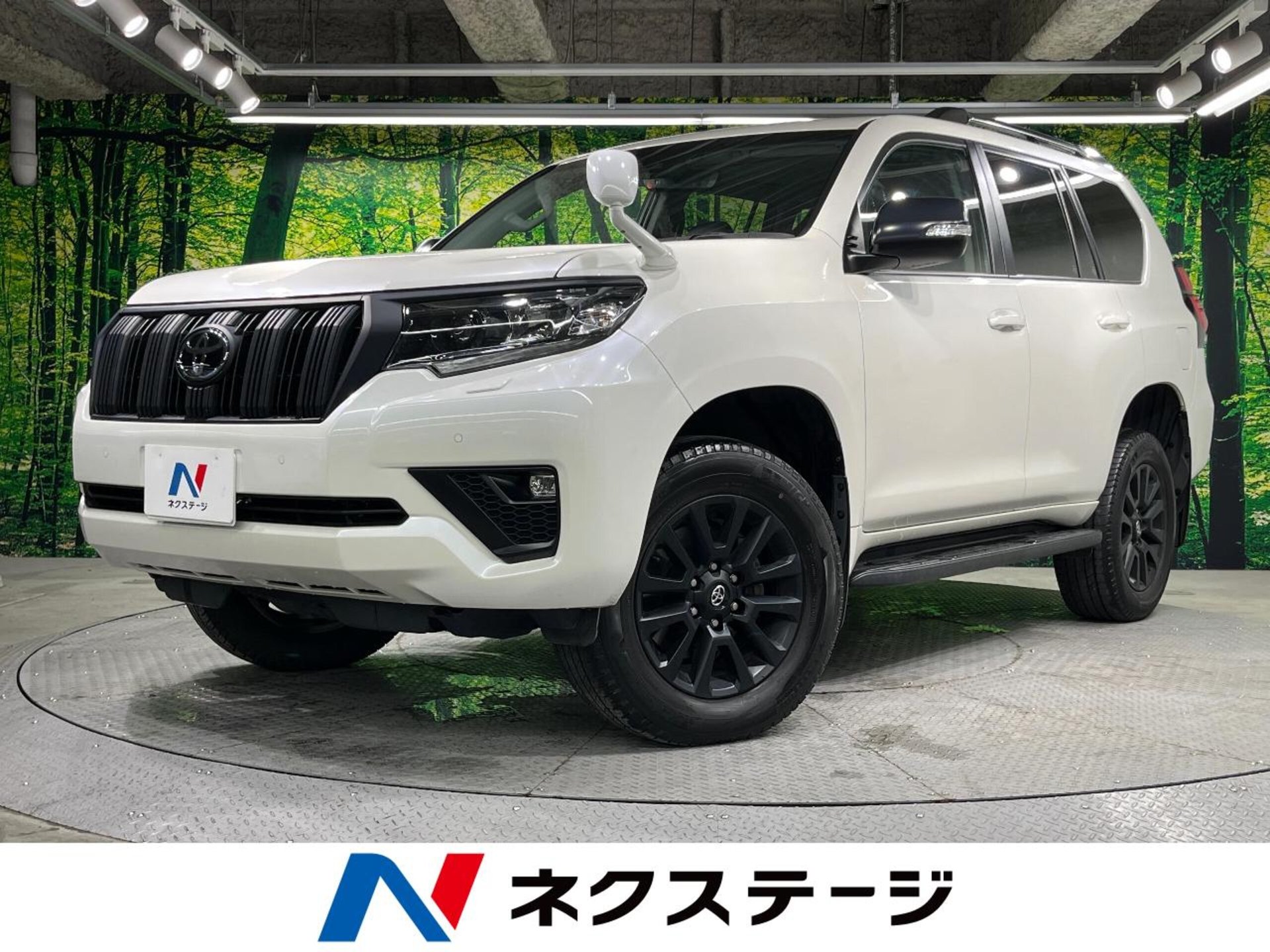 TOYOTA LAND CRUISER PRADO - View 1