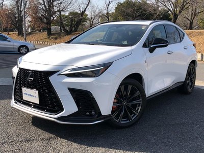 LEXUS NX - 6