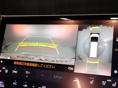 2024 Toyota ALPHARD 照片 10